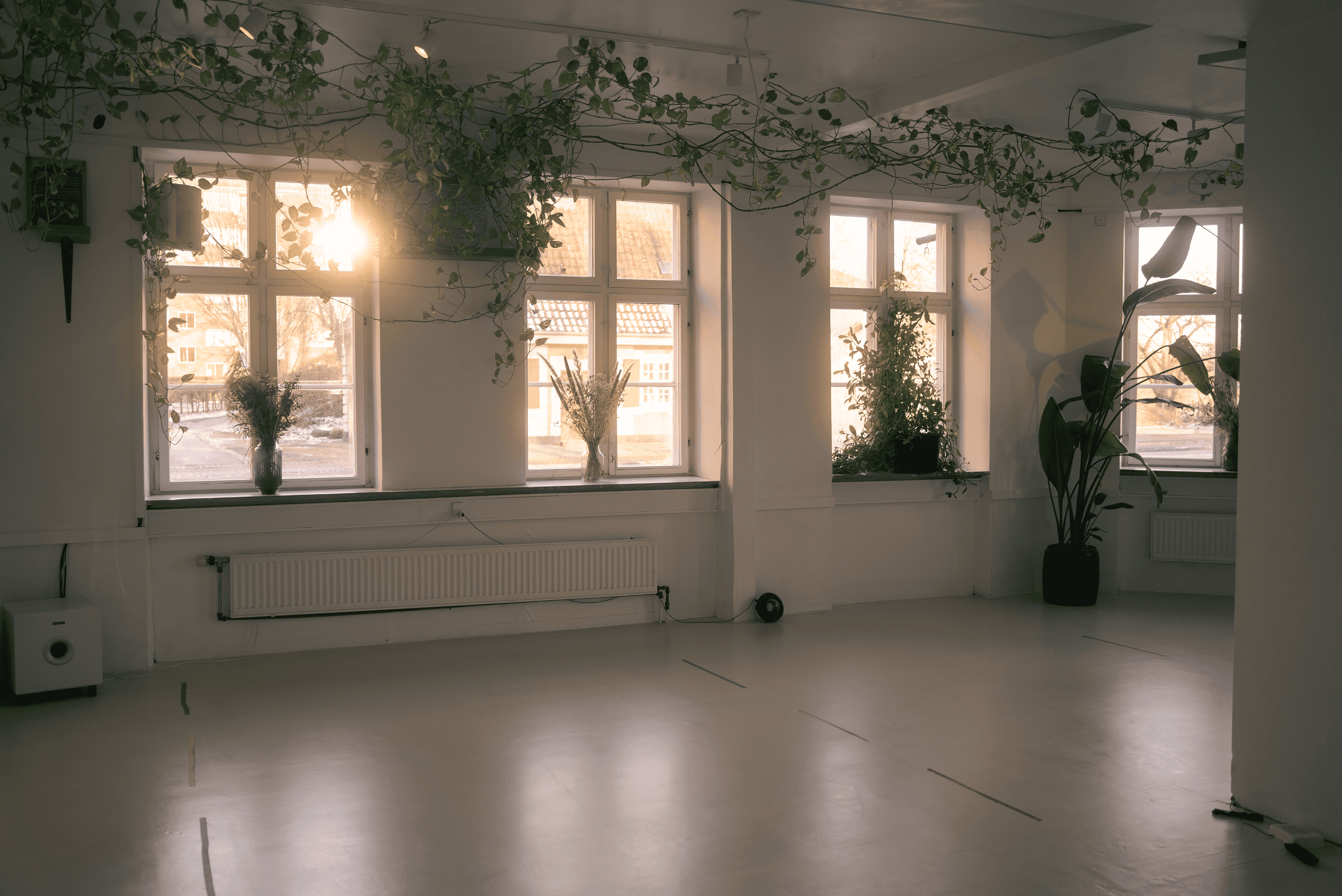 Hot Yoga Copenhagen hovedstudie — lyst, plantefyldt rum med naturligt lys